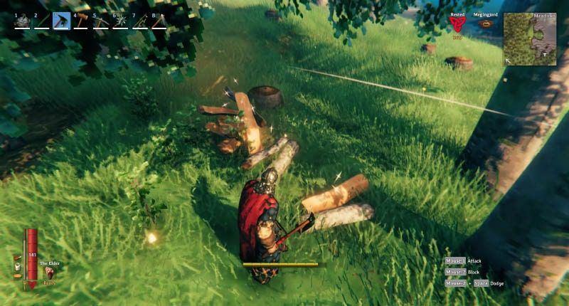 Valheim Private Server Collecting Wood Guide