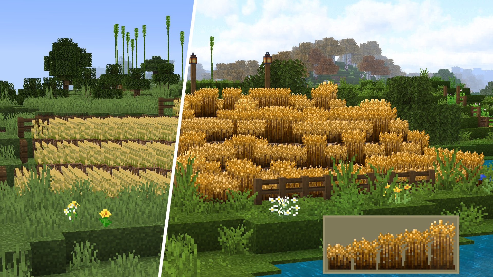 Minecraft Wheat Texture