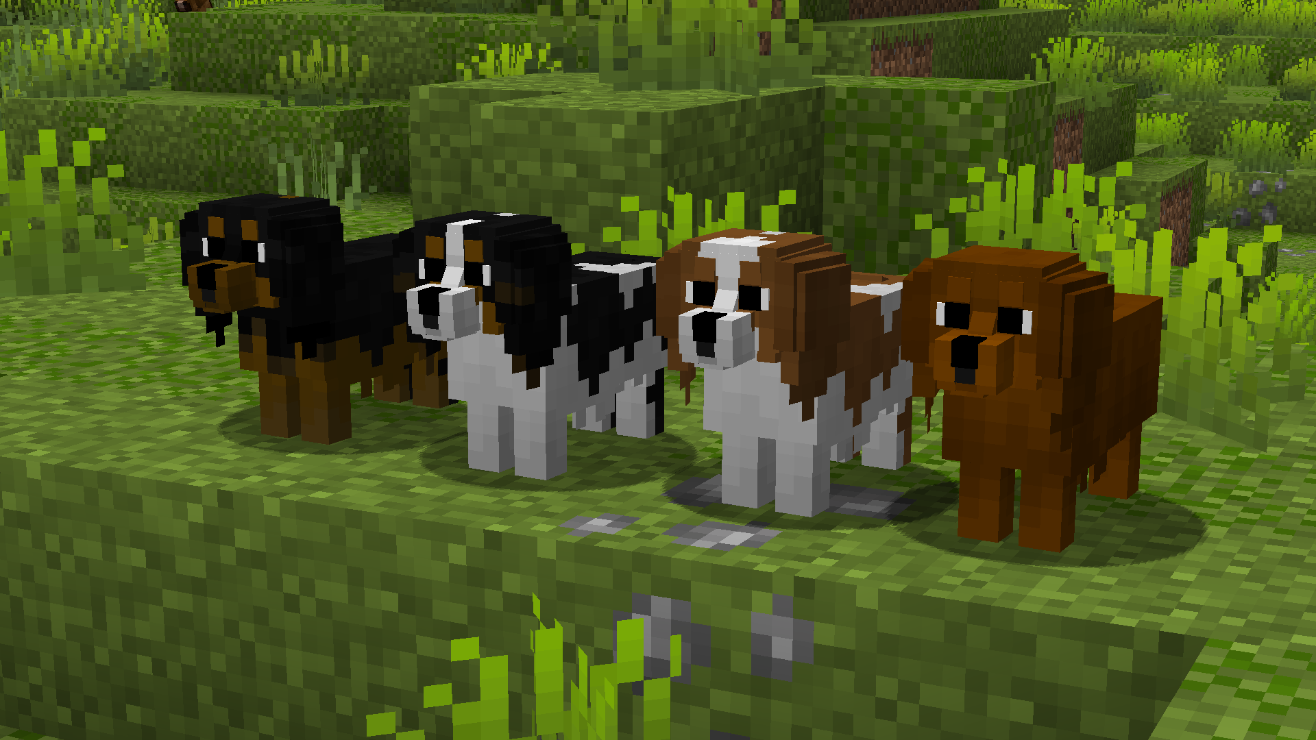 Best Minecraft Texture Pack Dog Breeds