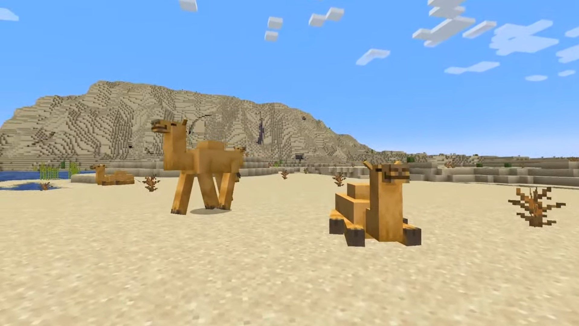 Minecraft Update 1.20 Camels Dedicated Server