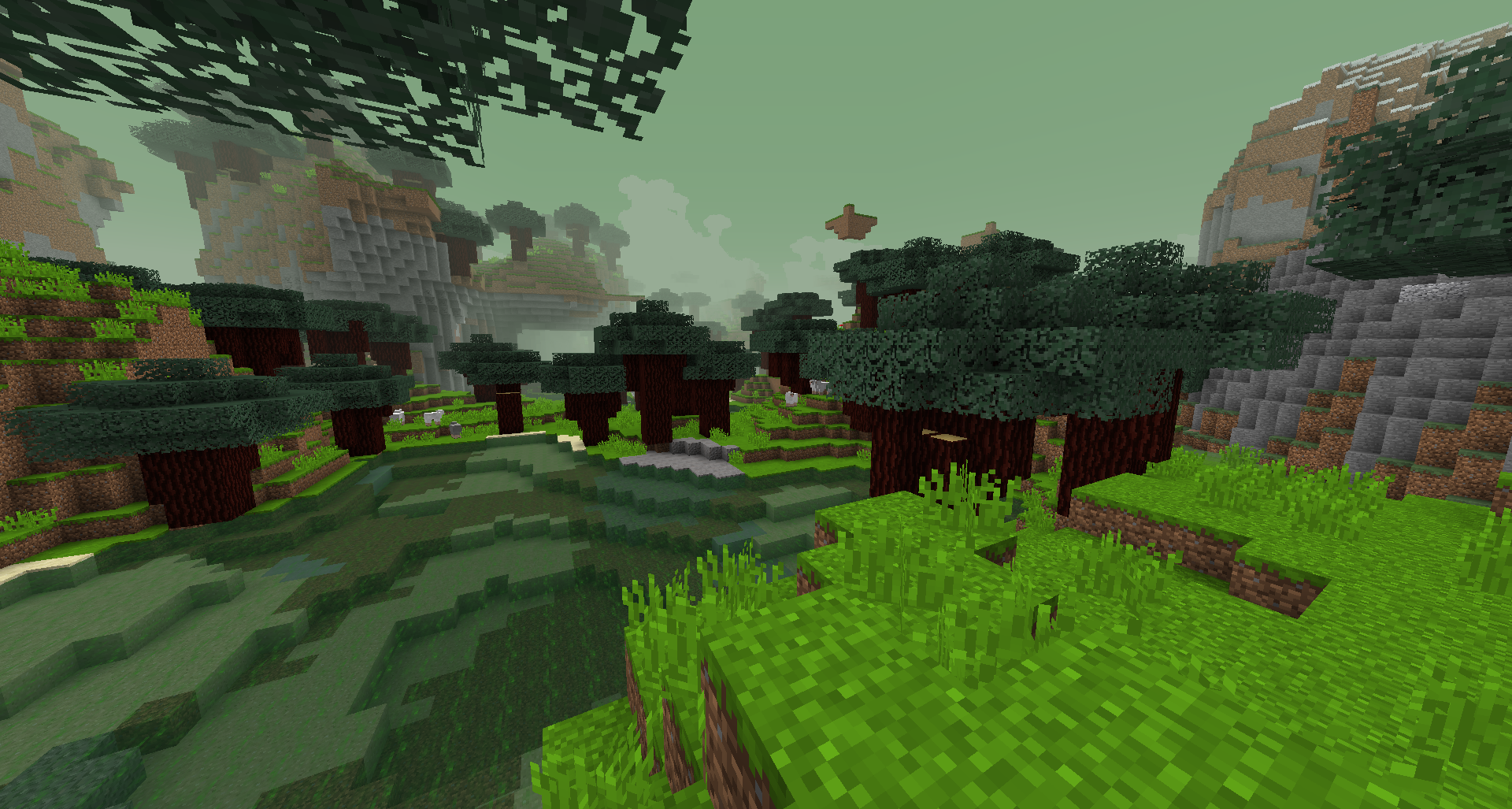 Minecraft Dedicated Server Seeping Forest