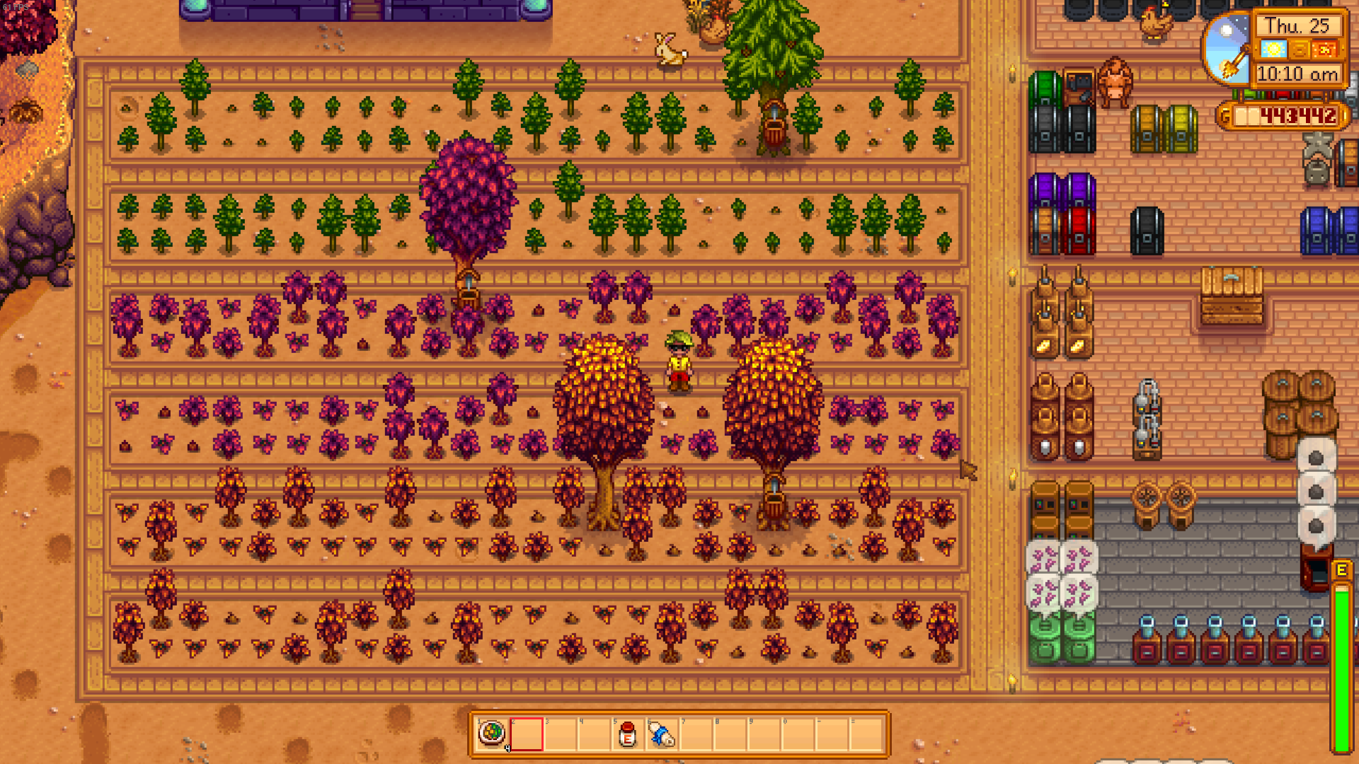 Stardew Valley Tips Tree Seeds in a beautiful plot