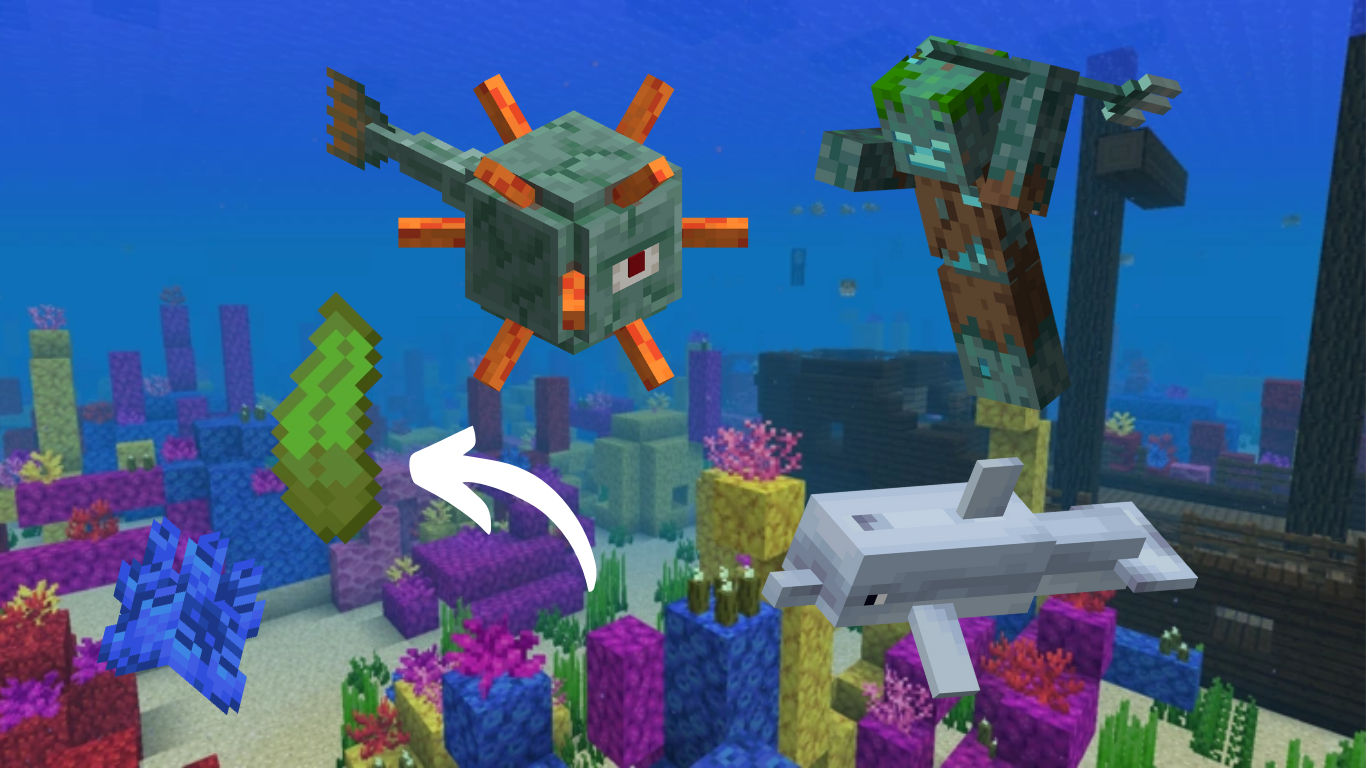 Minecraft Ocean Biome Resources