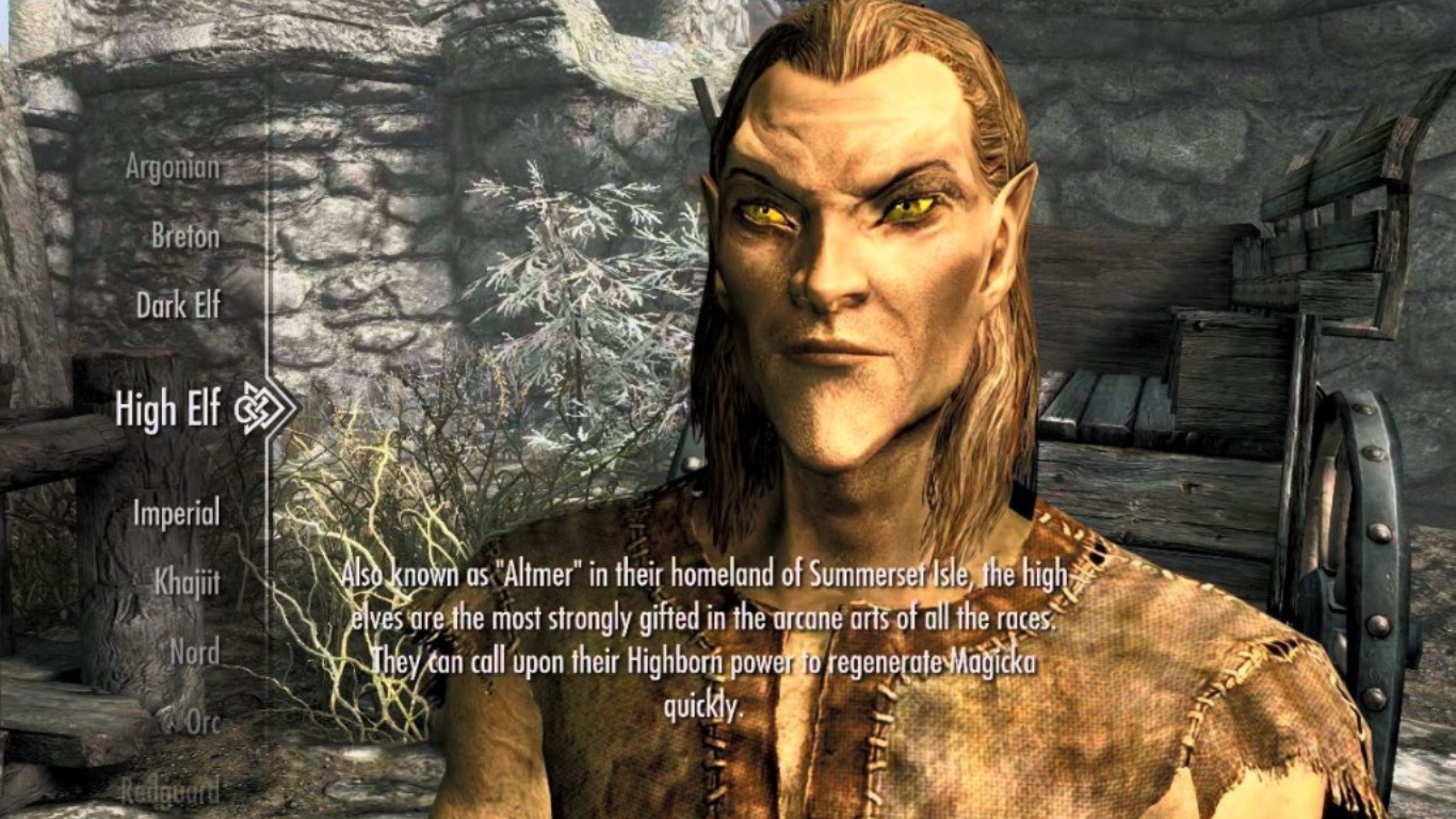 Skyrim High Elf Race