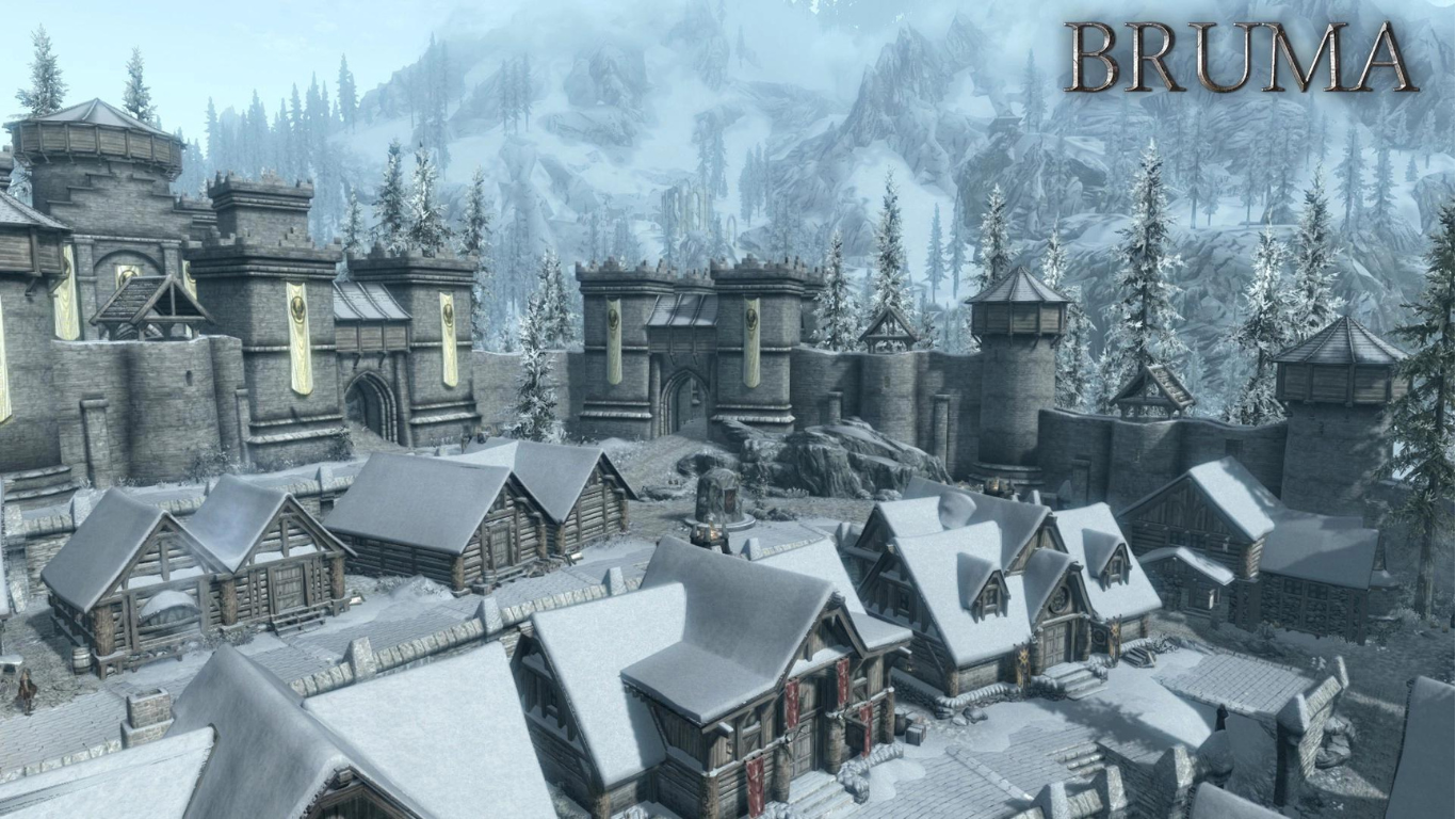 Skyrim Birlikte Mod