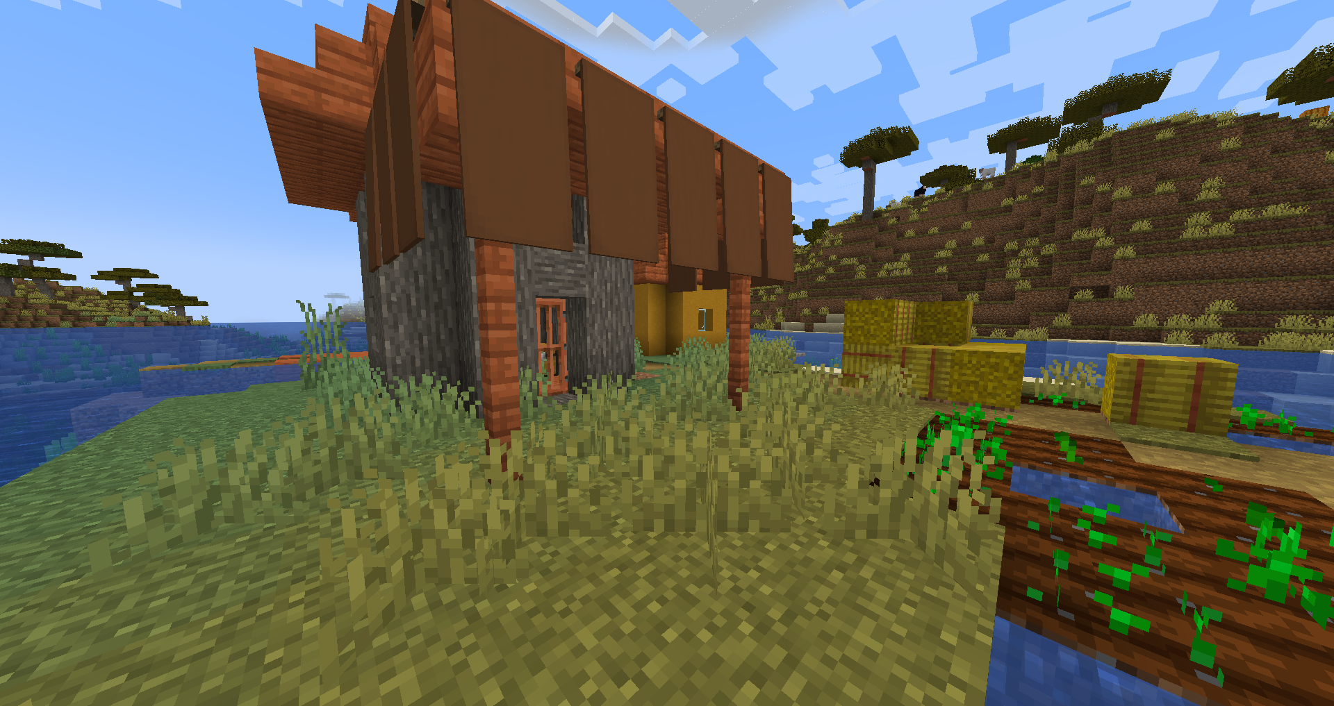 Minecraft Dedicated Server Village