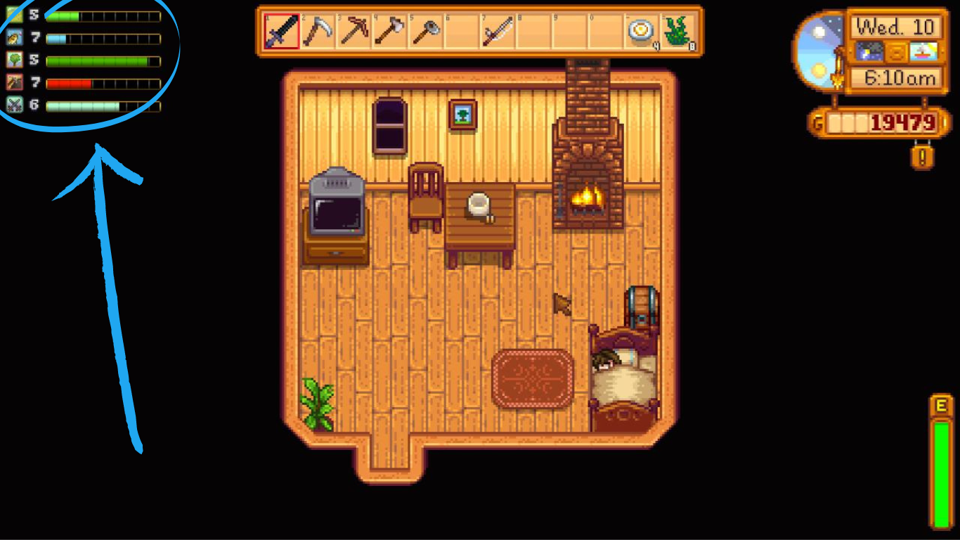 Stardew Valley Experience