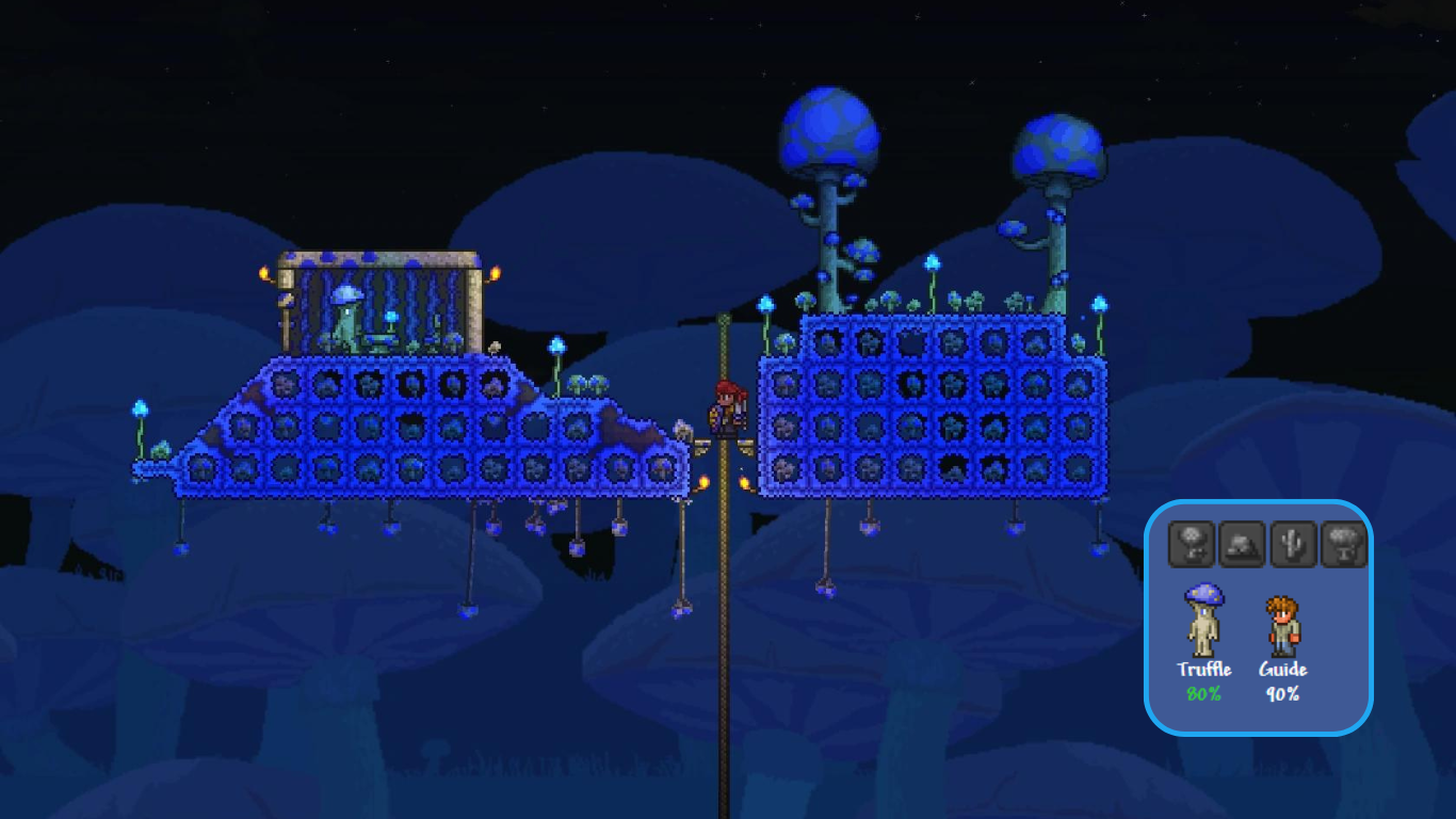 Glödande svampbiomterraria