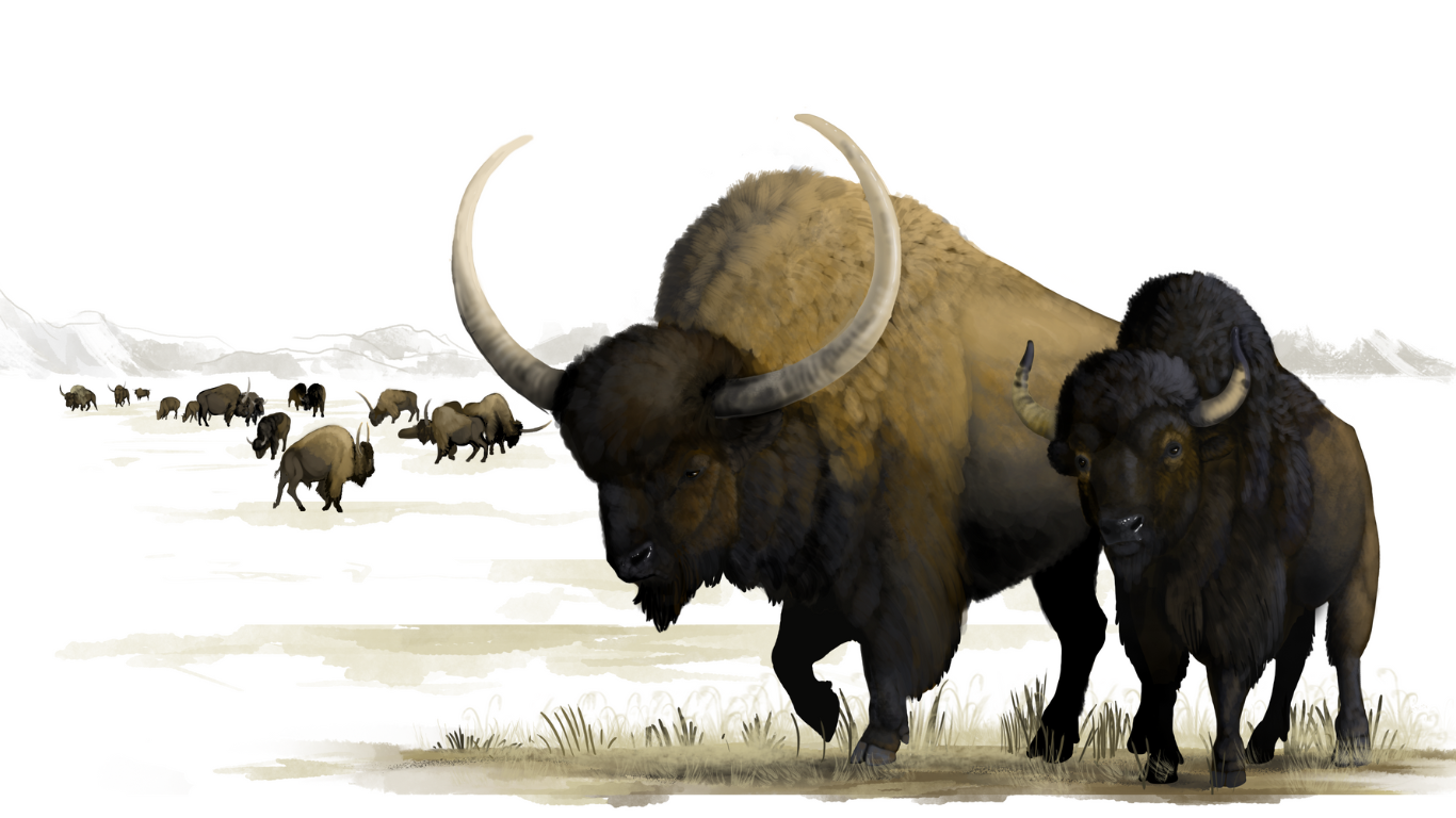 Ark Survival Giant Bison