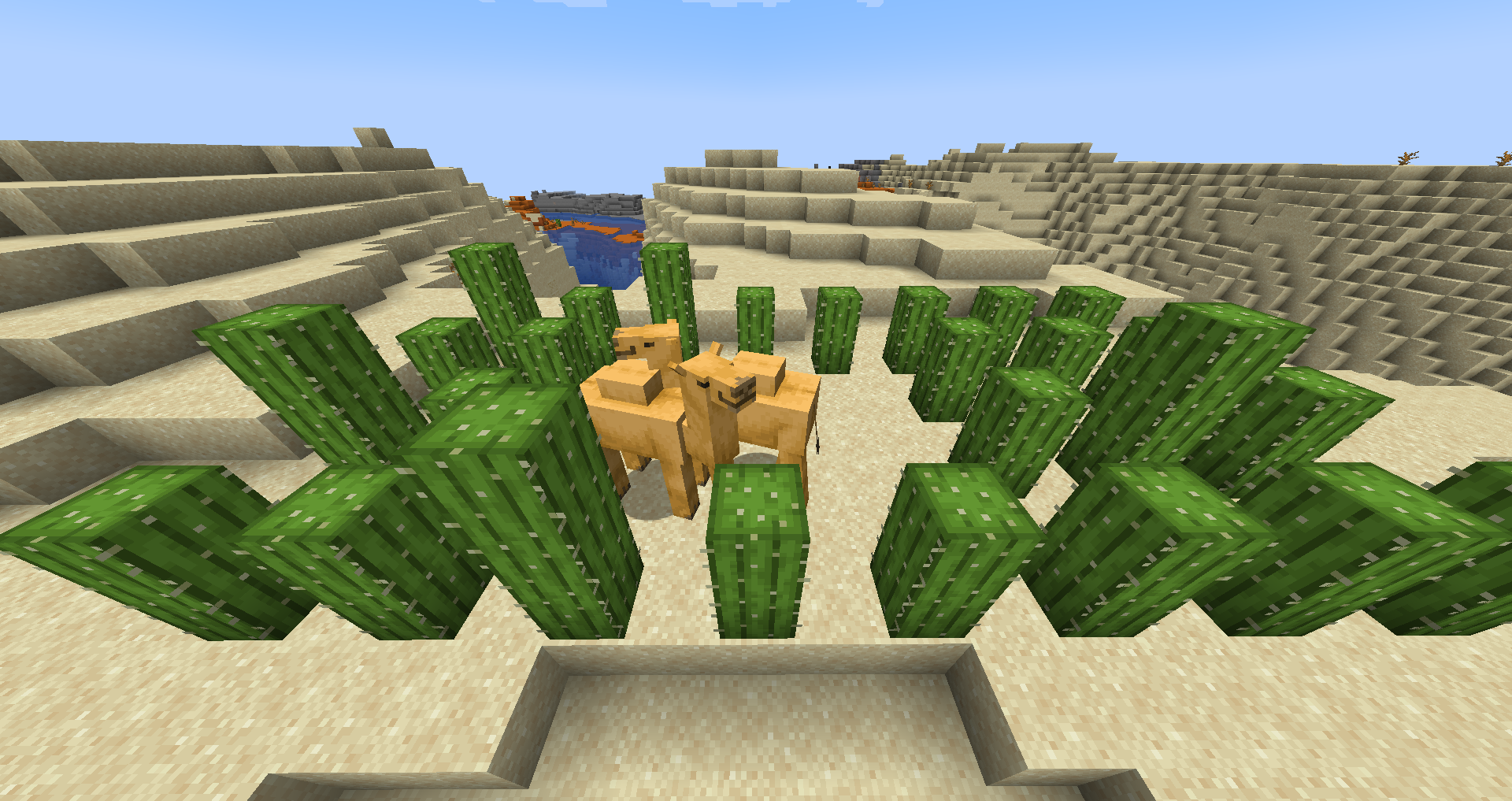 Minecraft 1.20 Camels Cactus Breeding