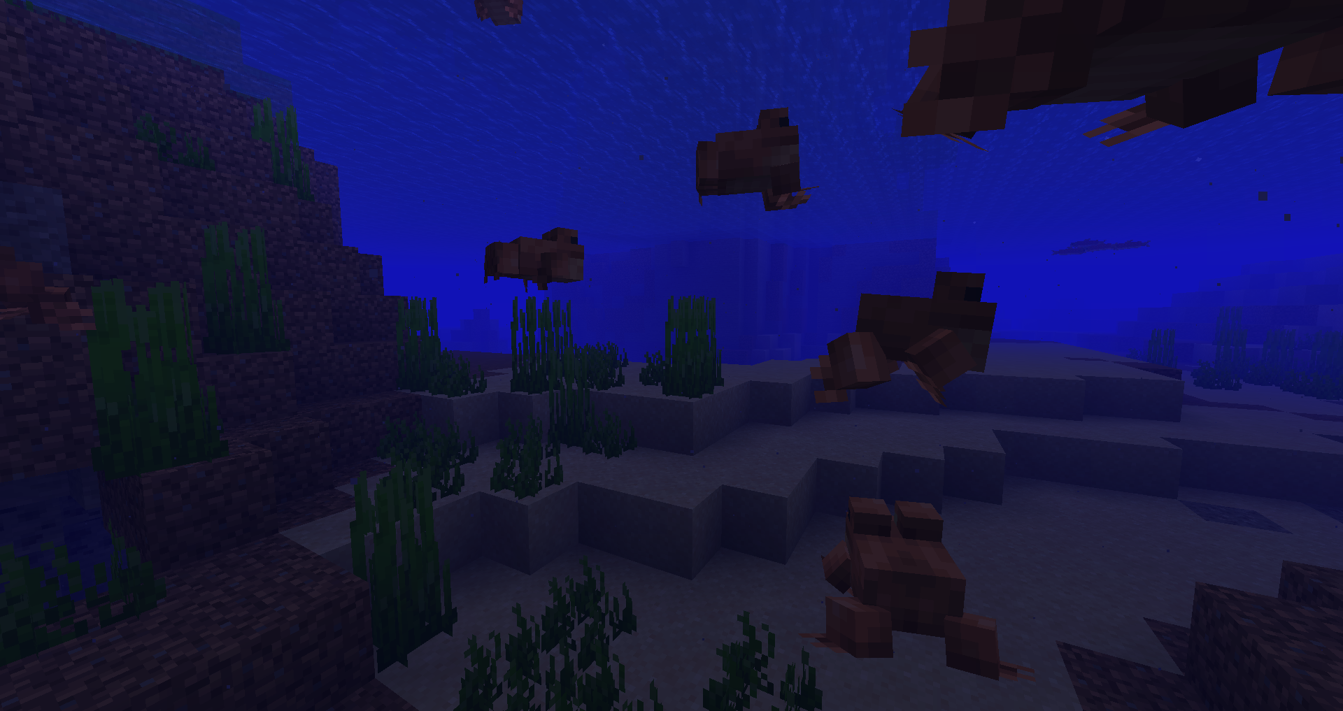 Minecraft Frogs Swimming Underwater