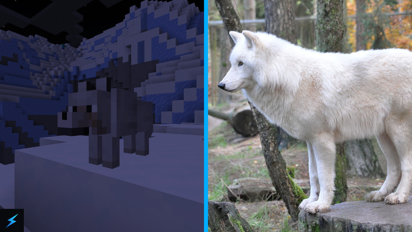 Minecraft Snowy Wolf