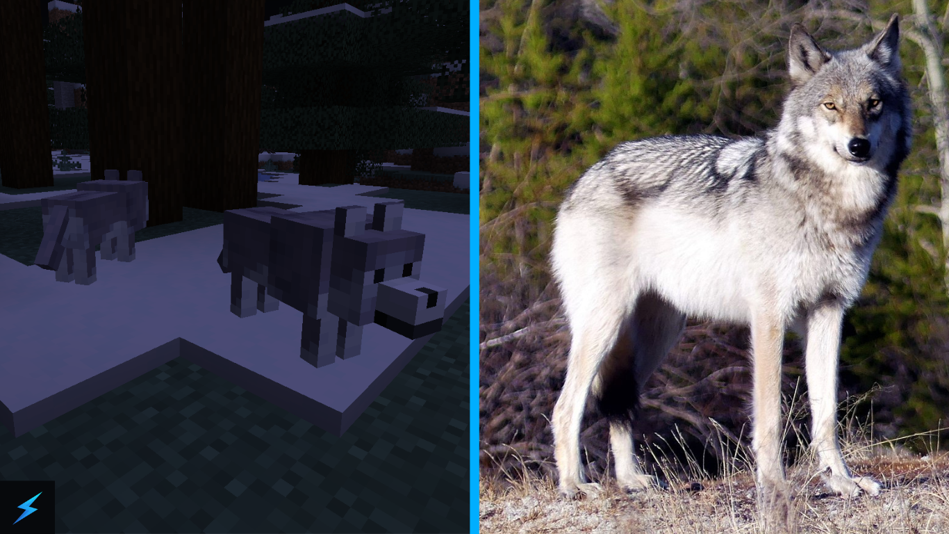 Minecraft Ashen Wolves