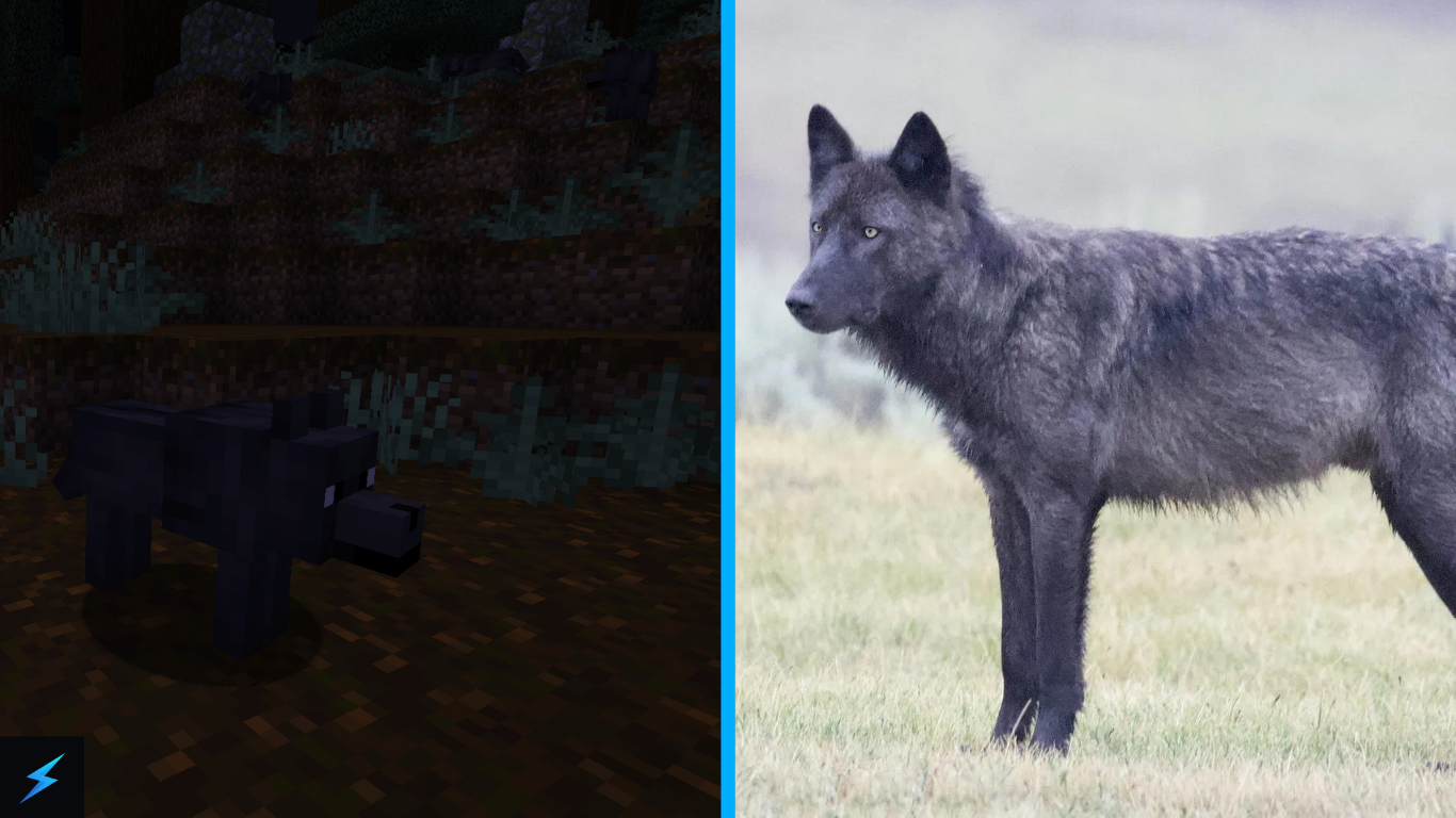 Minecraft Black Wolves