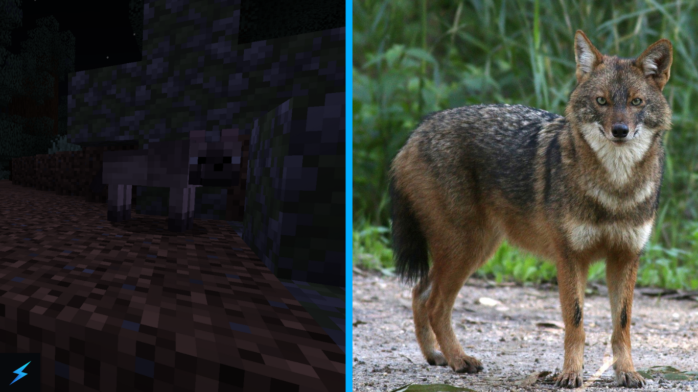 Minecraft Chestnut Wolf