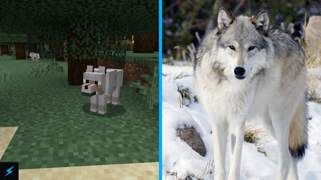 Minecraft Pal Wolf