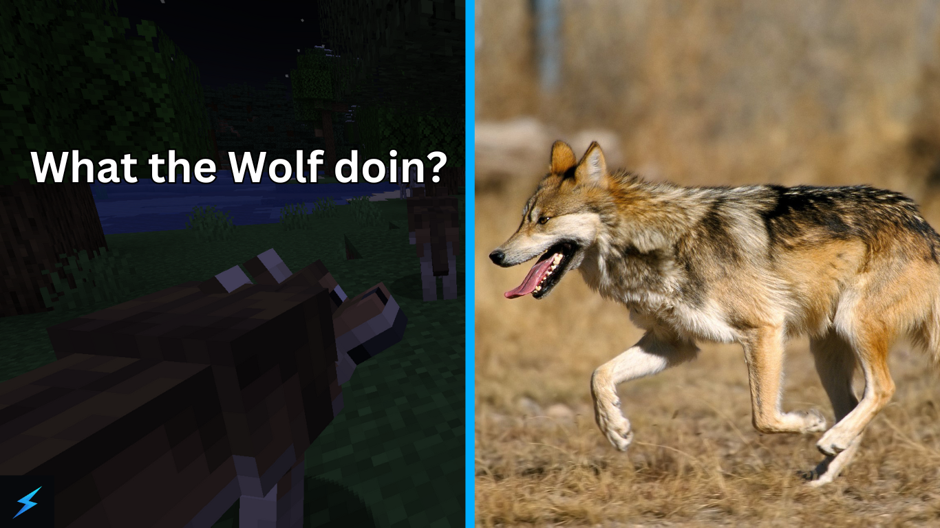 Minecraft Woods Wolf