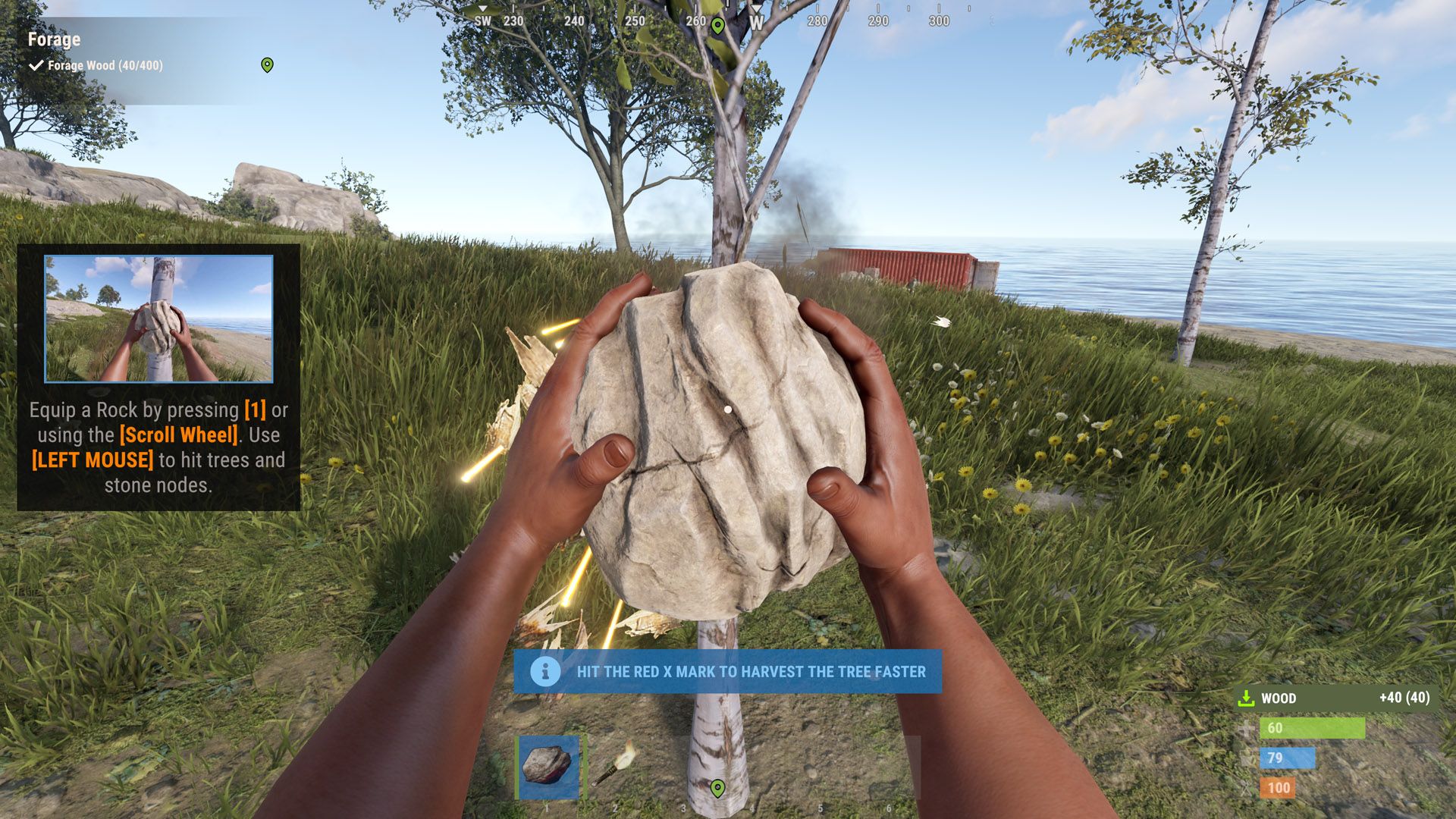 Rust Tutorial Island Screenshot