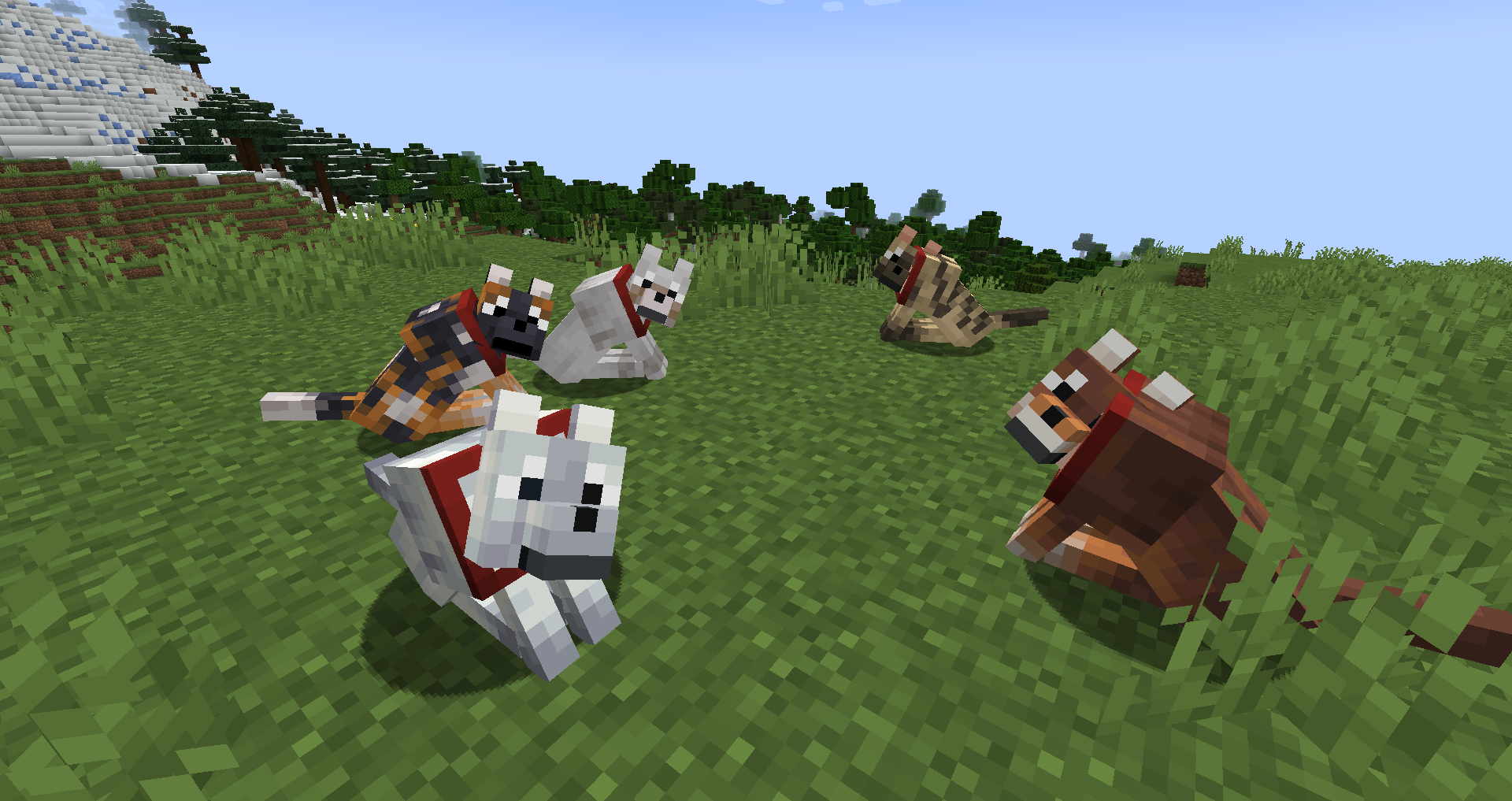 Minecraft Armored Paws