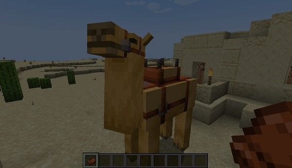 Can You Put A Chest On A Camel In Minecraft | Shockbyte